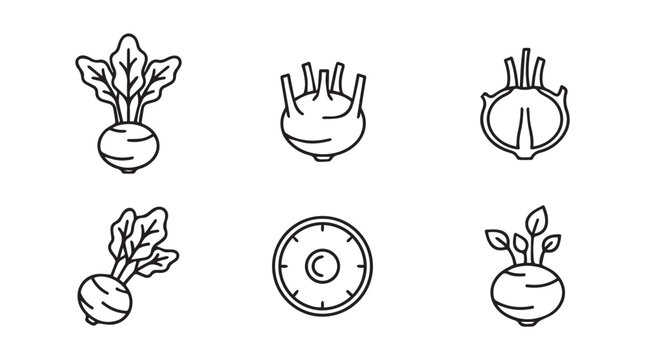 Six simple line illustrations of root vegetables beets and kohlrabi vegetable kohlrabi agriculture illustration underground nutrition foodanddrink culinary ingredient collection