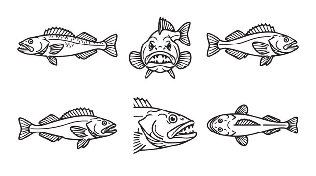 Assortment of fish illustrations featuring different species and angles line art wildlife illustration collection different underwater predator swimming