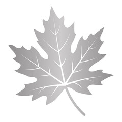 Fototapeta premium Classic plant ornaments detailed modern design, for elegant layouts.
