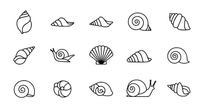 Shell and snail icon set in black and white line art vector format for beach and ocean themed creative graphic design projects