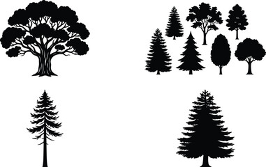 Fototapeta premium Forest Tree Silhouette Vector Collection Featuring Pine Evergreen and Decorative Woodland Trees for Nature Design Projects