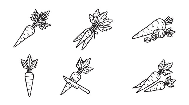 Collection of hand drawn carrots with tops and cut examples line art black and white background food illustration vegetable illustration garden illustration vegetable illustration