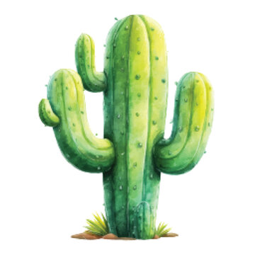 Large green cactus plant standing tall.