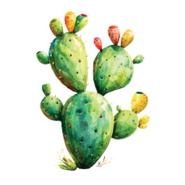 Prickly Pear Cactus Plant Green.