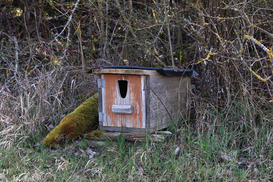 Wooden house for birds or small animals
