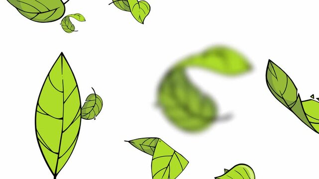 Falling Green Leaves Animation. A clean and minimal illustration of falling green leaves on a white background, suitable for nature-themed designs, animations, eco projects, and decorative elements.