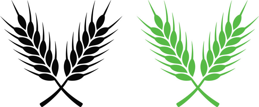 Contrast between black and green olive branches symbolizing unity and diversity