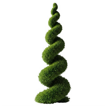 Spiral topiary tree isolated on transparent background for design