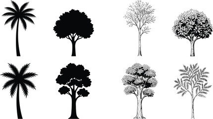 Fototapeta premium Palm and Decorative Tree Silhouette Vector Collection Featuring Tropical and Hand Drawn Nature Tree Illustrations