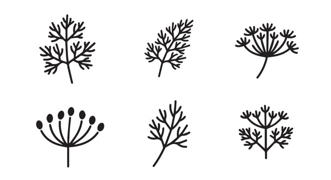 Assortment of dill varieties and herb sprigs in minimalist style with black and white line art botanical ingredient culinary illustration monochrome collection herbaceous vegetable aromatic