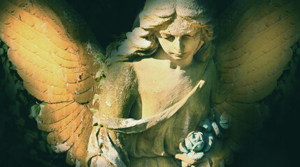 Fototapeta premium Dramatic angel statue with glowing wings and rose in hands, symbolic image of mourning, eternity and spiritual beauty