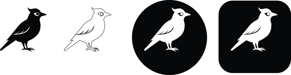 Fototapeta premium Bird set black and white silhouette and outline variations