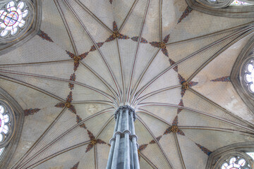 Naklejka premium Vaulted ceiling of the Chapter House in Salisbury Cathedral
