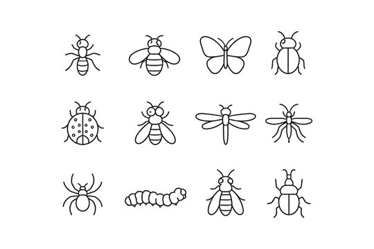 Collection of simple line art icons representing various insects and arthropods