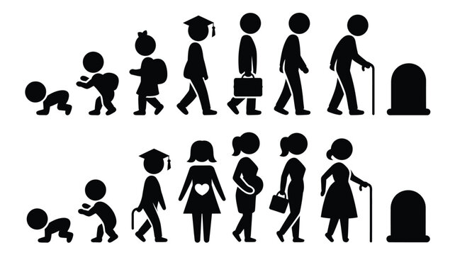 Human life cycle silhouettes showing growth stages from baby to elderly concept
