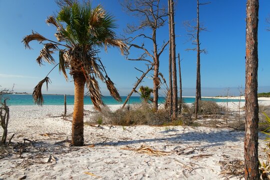 Week Stay At St Andrews State Park Florida