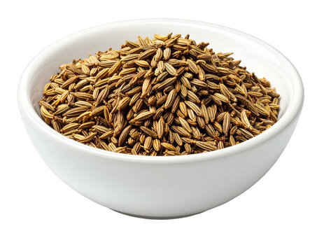 Clean minimalist spice photography showcasing a pristine white ceramic bowl fully packed with dry brown cumin or caraway seeds.