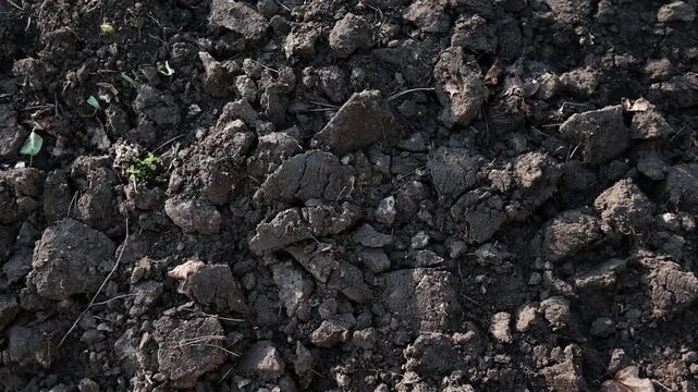 Top view of freshly plowed dark fertile soil texture with earth clods on a field, close-up.
