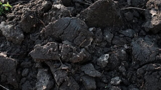 Top view of freshly plowed dark fertile soil texture with earth clods on a field, close-up.