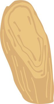 Astragalus Root Small Cut 2