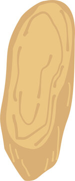 Astragalus Root Small Cut 1
