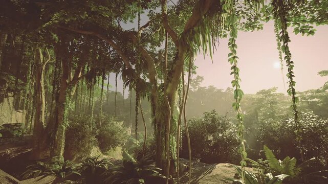 Misty rainforest gorge with dangling vines, explorer route suggestion, cool dusky tones and layered silhouettes streaming through trunks, subdued palette