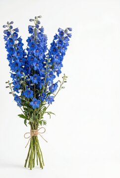 Generated AI set photos Vibrant blue delphinium bouquet tied with jute twine isolated on a clean background