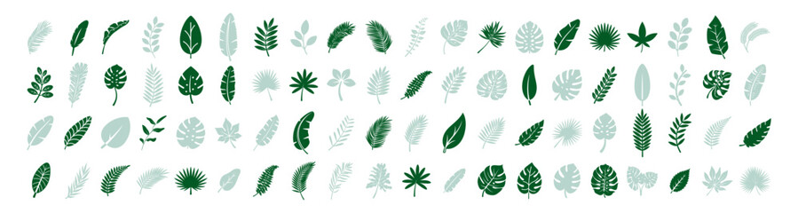 Tropical green and light blue leaf silhouettes. Decorative botanical shapes on white background. © Alla