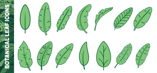 Collection of botanical leaf icons in green color. Simple vector designs of tropical foliage and herbs. © Alla