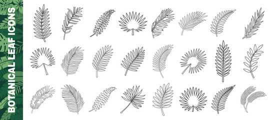 Botanical leaf icons collection. Stylized black line drawings of various tropical and botanical foliage. © Alla