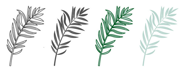 Tropical palm leaves with colorful and outline sketches on white background. © Alla