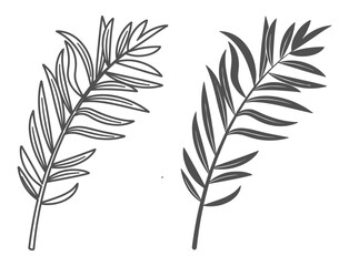 Black and white palm leaf stroke illustrations. Tropical botanical elements in line art style. © Alla