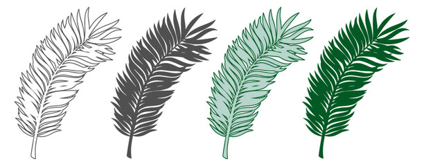 Palm leaf illustrations in different styles and colors. Vector tropical foliage elements layout. © Alla