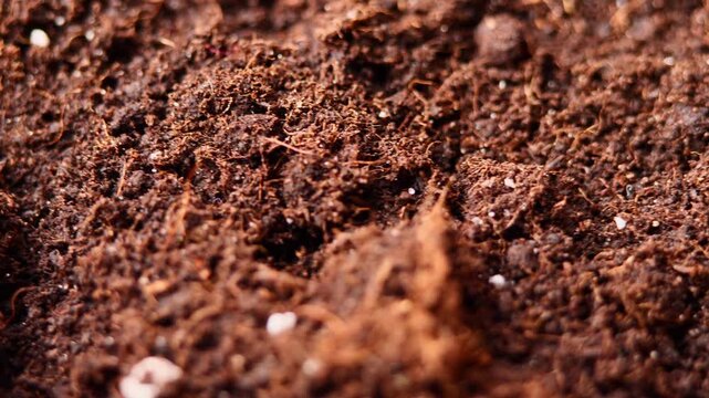 Detailed rotating view of nutrient rich universal ground substrate with natural earthy tones and granular texture. botanical content, environmental storytelling, sustainable gardening visuals
