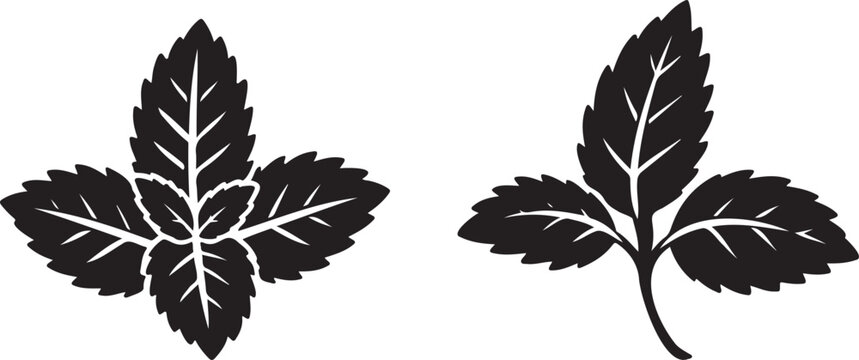 mint leaf herb icon collection, black botanical leaf vector set, fresh herb symbol design