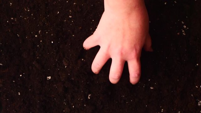 Detailed view hand feeling and pouring loose potting soil, creating tactile and natural gardening scene. botanical projects, cultivation storytelling, eco educational content