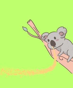 a sleeping koala