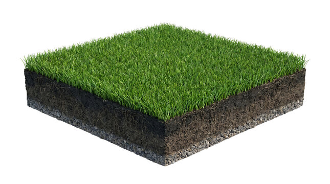 Grass soil earth cross section isolated on transparent background png