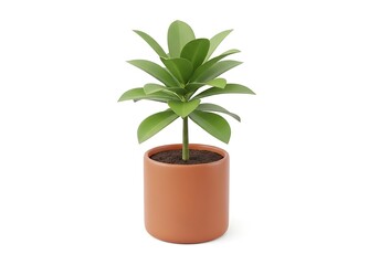 Obraz premium A small potted green leafy plant in a terracotta pot for indoor decoration isolated on white background