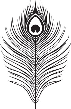 A black and white graphic illustration of a single, detailed peacock feather, showcasing its delicate barbules and distinctive eye pattern.
