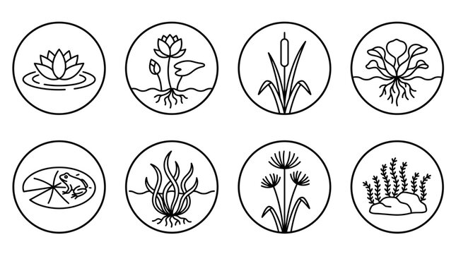 Collection of diverse vector svg Nature Botanical Outline Icons depicting various aquatic plants, pond flora, water lilies, reeds, and marsh vegetation for nature designs