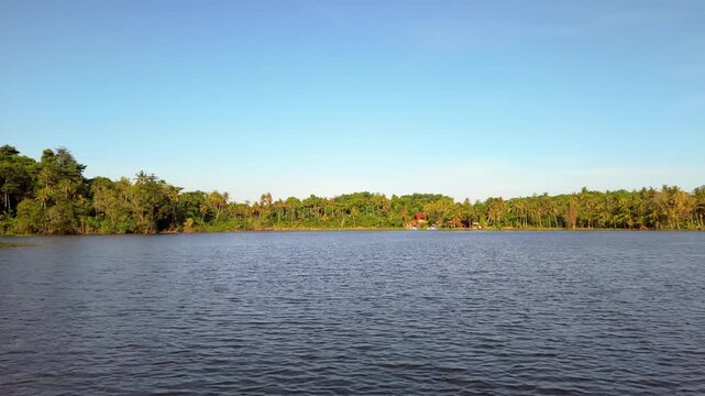 Scenic View of Danau Yeh Malet Lake with Tropical Palm Trees and Clear Blue Sky in Bali