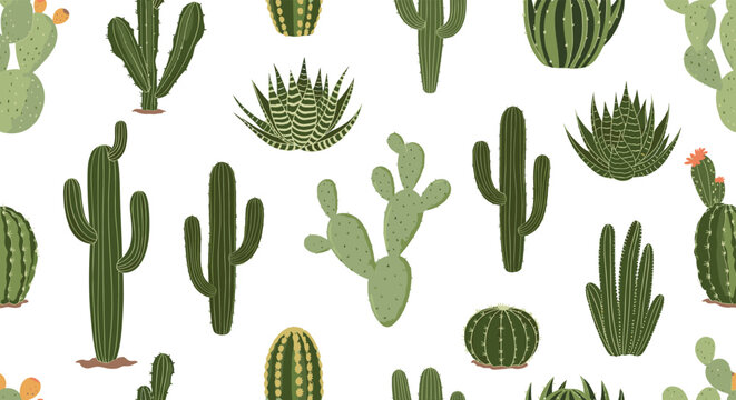 Seamless pattern with different types of green desert cacti and succulents on a white background for trendy wallpaper design.