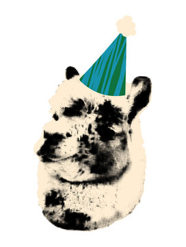 Halftone alpaca wearing doodle birthday hat element for collage. Llama celebrating birthday, animal head vintage dotted sticker, funny clip art modern retro grunge mixed media vector illustration