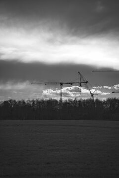 Dramatic Black and White Silhouette of Construction Cranes Over a Forest Line