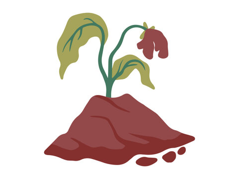 Dying Plant Clip Art Illustration