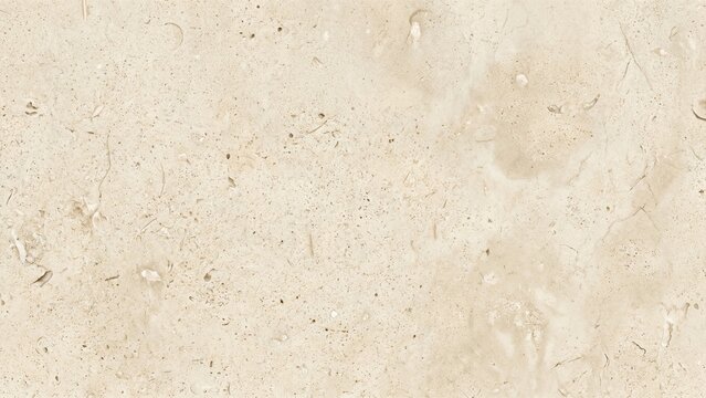 Beige Limestone Stone Texture Background with Natural Fossils and Veins