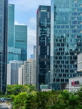 Shenzhen's Modern Urban Landscape