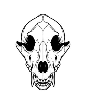 Intricate monochrome illustration of an animal skull, detailed with bone structure and teeth, embodying natural anatomy and the concept of life's wild cycle