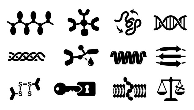 Peptide Molecule and Molecular Structure Silhouette Icons Set